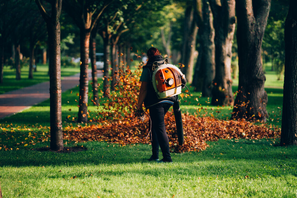 Landscape Maintenance