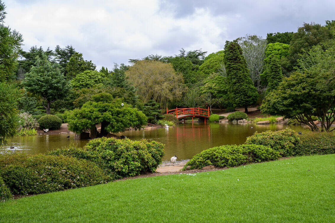 Landscape Design